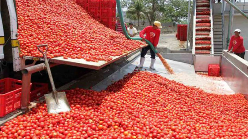Food Processing