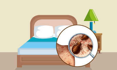 The Bed Bug Problem Online Course