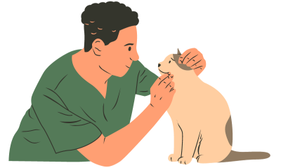 Veterinary Physiotherapy Basics