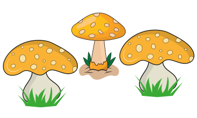 Mycology Diploma
