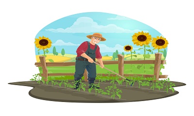 Gardening – Garden Design
