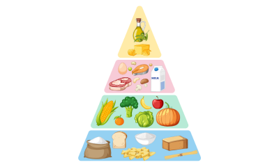 Geriatric Nutrition Guide