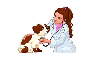 Dog Care