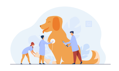 Dog First Aid