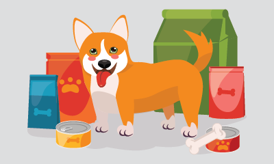 Dog Nutrition