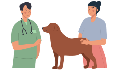 Canine Emergency Care Essentials